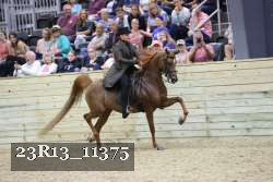 23R13_11375 thumbnail