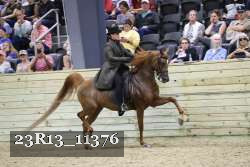 23R13_11376 thumbnail
