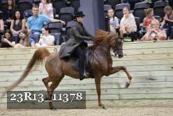 23R13_11378 thumbnail