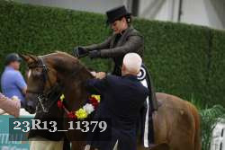 23R13_11379 thumbnail