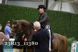 23R13_11380 thumbnail