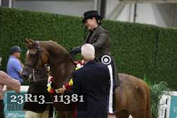 23R13_11381 thumbnail