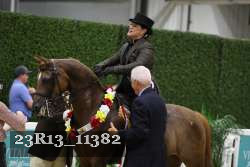 23R13_11382 thumbnail