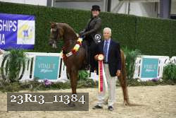23R13_11384 thumbnail