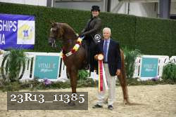 23R13_11385 thumbnail