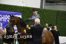 23R13_11388 thumbnail