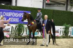 23R13_11389 thumbnail