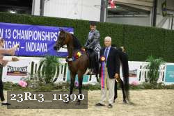 23R13_11390 thumbnail