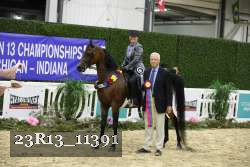 23R13_11391 thumbnail