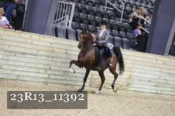 23R13_11392 thumbnail