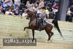 23R13_11394 thumbnail
