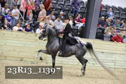 23R13_11397 thumbnail