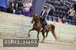 23R13_11402 thumbnail