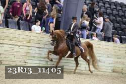 23R13_11405 thumbnail