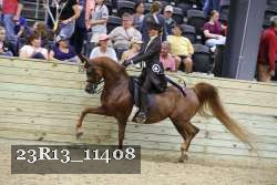 23R13_11408 thumbnail