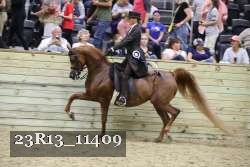23R13_11409 thumbnail