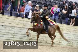 23R13_11413 thumbnail