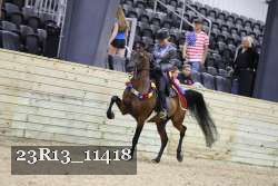 23R13_11418 thumbnail
