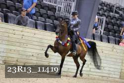 23R13_11419 thumbnail
