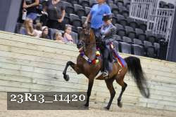 23R13_11420 thumbnail