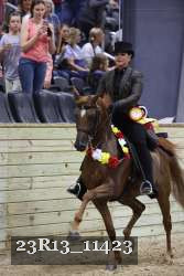 23R13_11423 thumbnail