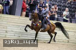 23R13_11424 thumbnail