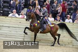 23R13_11427 thumbnail