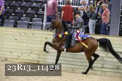 23R13_11428 thumbnail