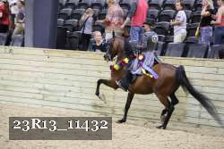 23R13_11432 thumbnail