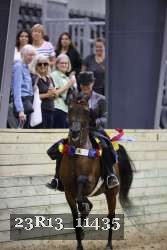 23R13_11435 thumbnail