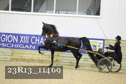 23R13_11469 thumbnail