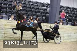 23R13_11473 thumbnail