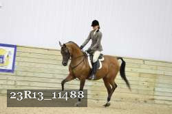 23R13_11488 thumbnail