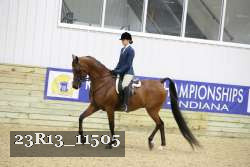 23R13_11505 thumbnail