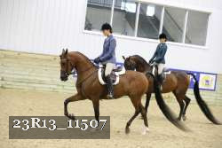 23R13_11507 thumbnail