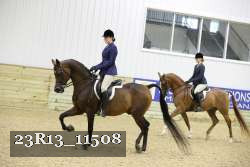 23R13_11508 thumbnail