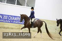 23R13_11509 thumbnail