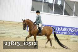 23R13_11512 thumbnail