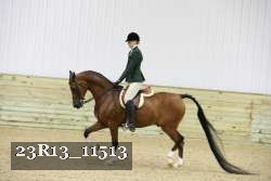 23R13_11513 thumbnail