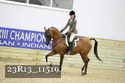 23R13_11516 thumbnail