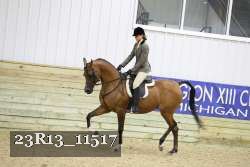 23R13_11517 thumbnail