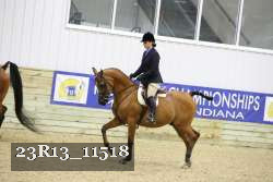 23R13_11518 thumbnail