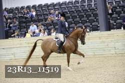 23R13_11519 thumbnail