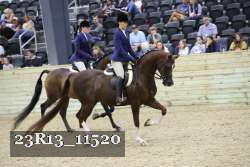 23R13_11520 thumbnail
