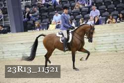 23R13_11521 thumbnail
