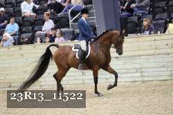 23R13_11522 thumbnail