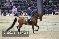 23R13_11523 thumbnail