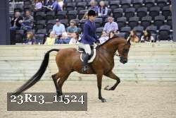 23R13_11524 thumbnail