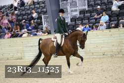 23R13_11525 thumbnail