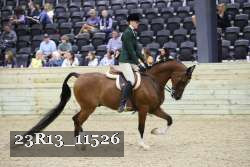 23R13_11526 thumbnail